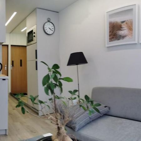 Ferienwohnung Salia Centro Wilna Exterior foto